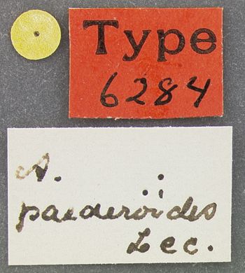 Media type: image;   Entomology 6284 Aspect: labels
